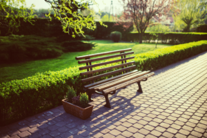 bench near landscaped hedges and lawn