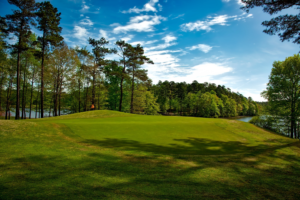 summer green grass on a golf course landscaping professional