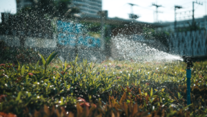 close up picture of sprinkler spraying water on commercially landscaped lawn