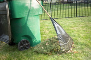 6 Reasons You Should Never Bag Your Grass Clippings